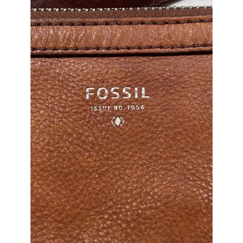 FOSSIL 17